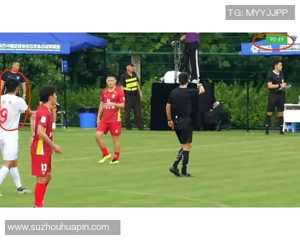 足球场上与球星共照的裁判成为焦点引发热议各界纷纷讨论其独特地位