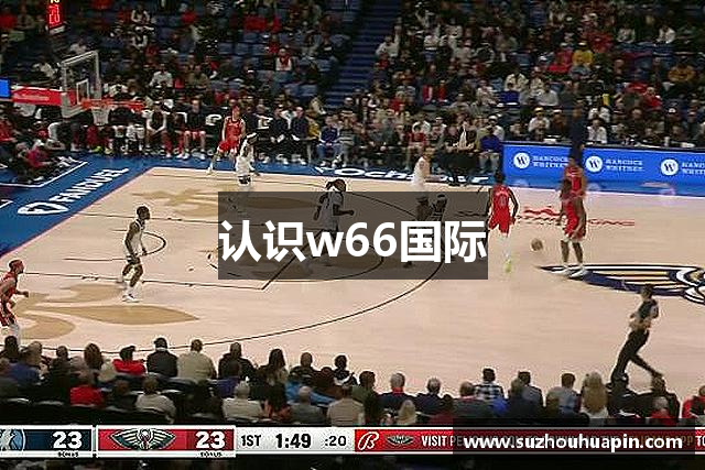 认识w66国际